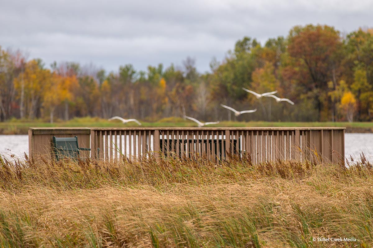 Necedah National Wildlife RefugeNecedah National Wildlife Refuge