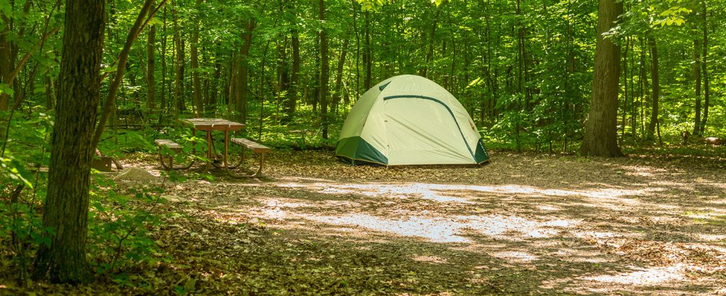 Image of tent campsite in the Upper Ice Age Campground.