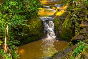 Pewit's Nest State Natural Area