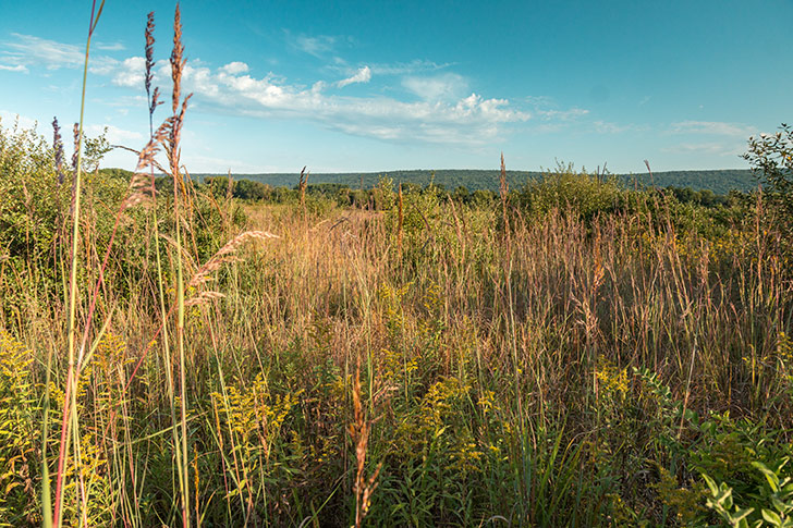 Sauk Prairie Recreation Area