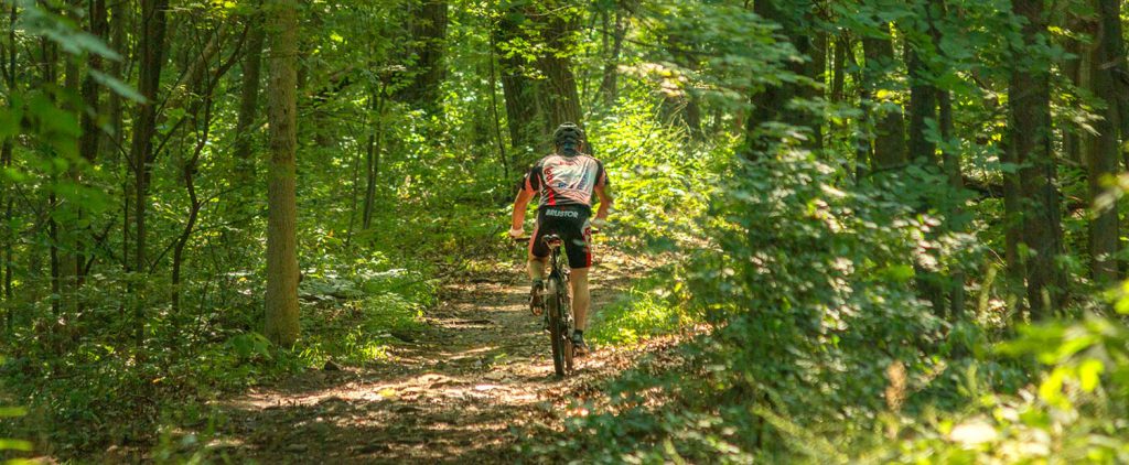 Cyclist at Devil's Lake State Park.