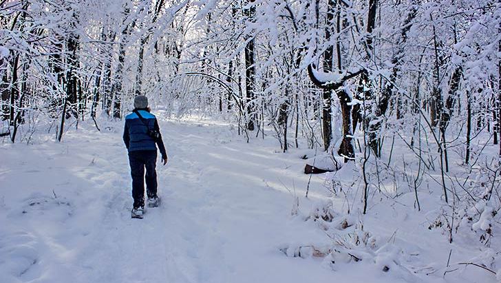 Snowshoeing at Devil's Lake State Park