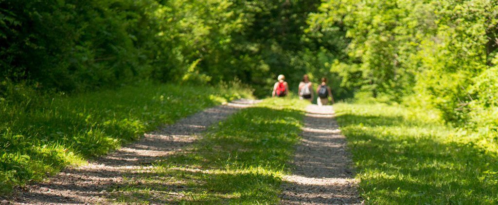 Hiking at Devil's Lake State Park