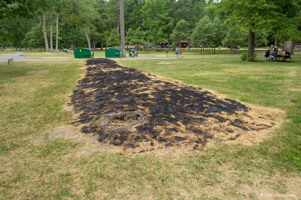 Linear Mound clearly visible after controlled burn. North Shore Picnic Area.