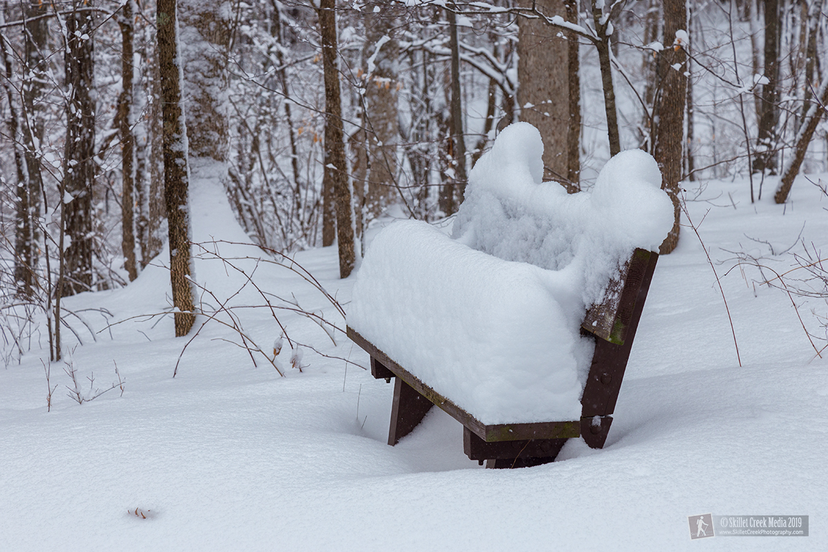 11 inches of fresh snow at Devil's Lake State Park