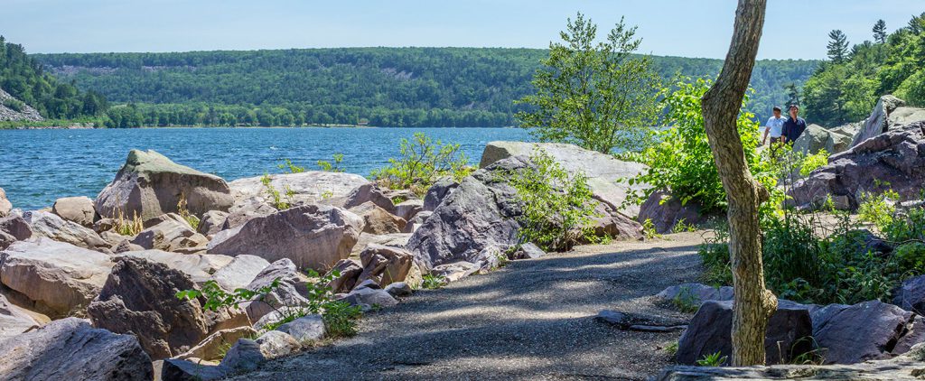 View along the Tumbled Rocks Trail.