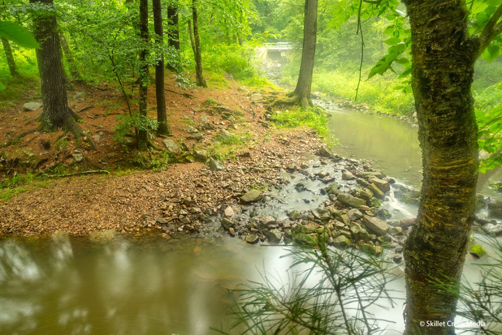 Otter Creek at Baxter's Hollow