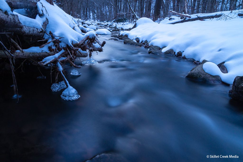 Winter at Baxter's Hollow