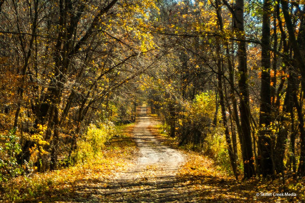 Autumn Drive at Baxter's Hollow