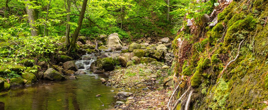 Parfrey's Glen State Natural Area