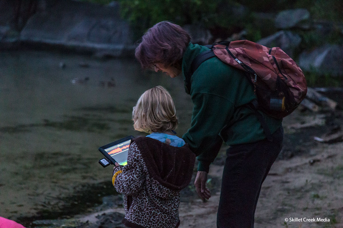 Tracking Bats with an iPad