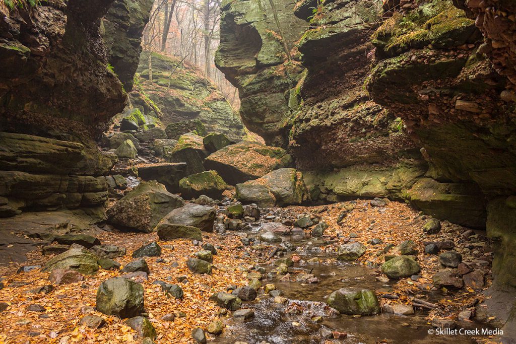 Parfrey's Glen State Natural Area