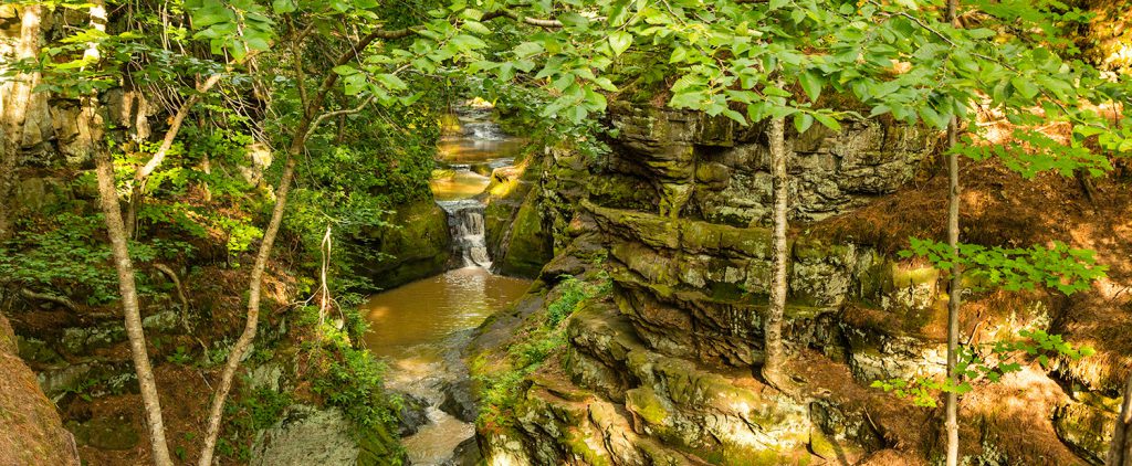 Pewit's Nest State Natural Area.