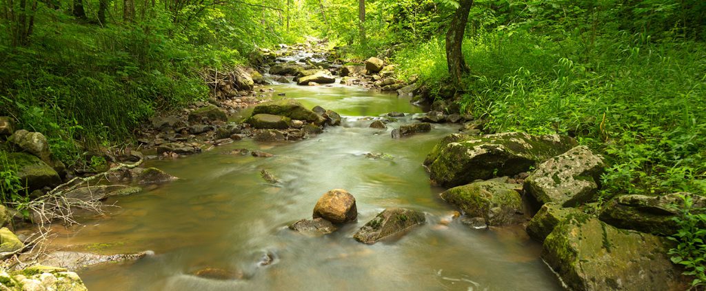 Otter Creek, Baxter's Hollow State Natural Area.