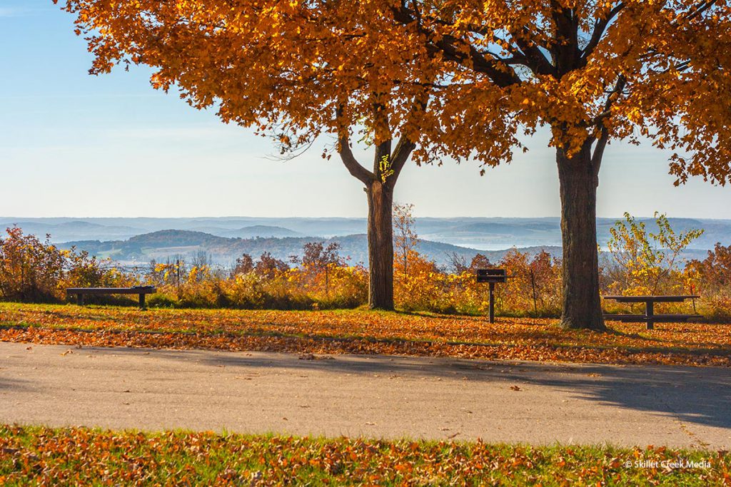 Owen Park in Autumn