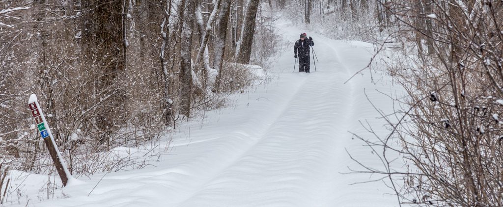 Skiers on the Upland Trail Access Road.