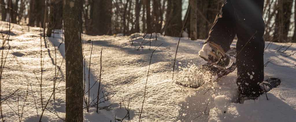 Snowshoeing at Devil's Lake State Park.