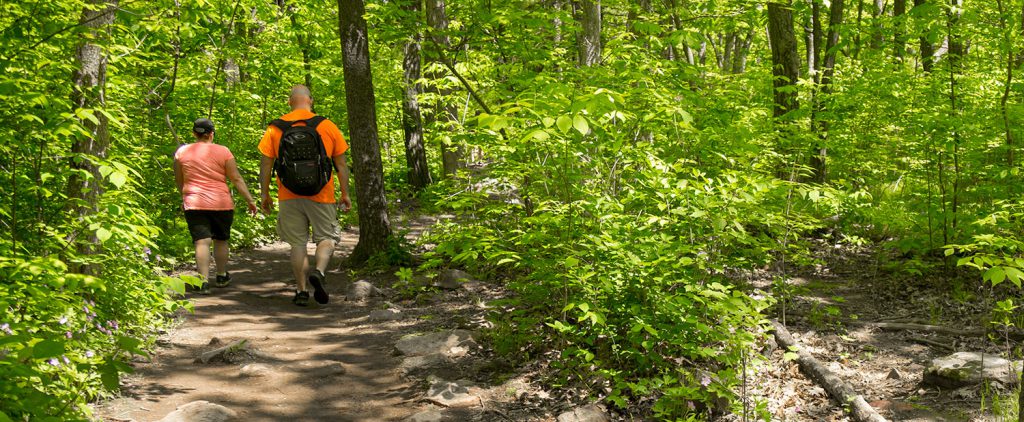 Hiking A Quiet Trail at Devil's Lake.