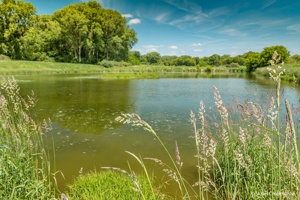 Small Pond at SPRA