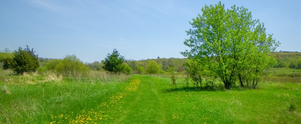 Steinke Basin Trail