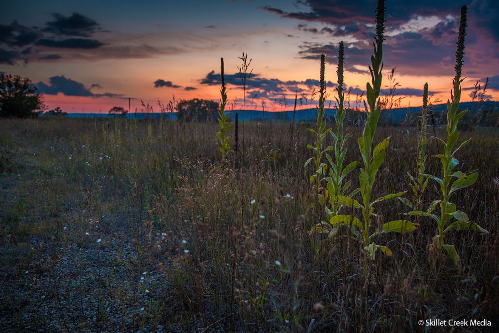 Sunset & Mullen, Sauk Prairie Rec Area