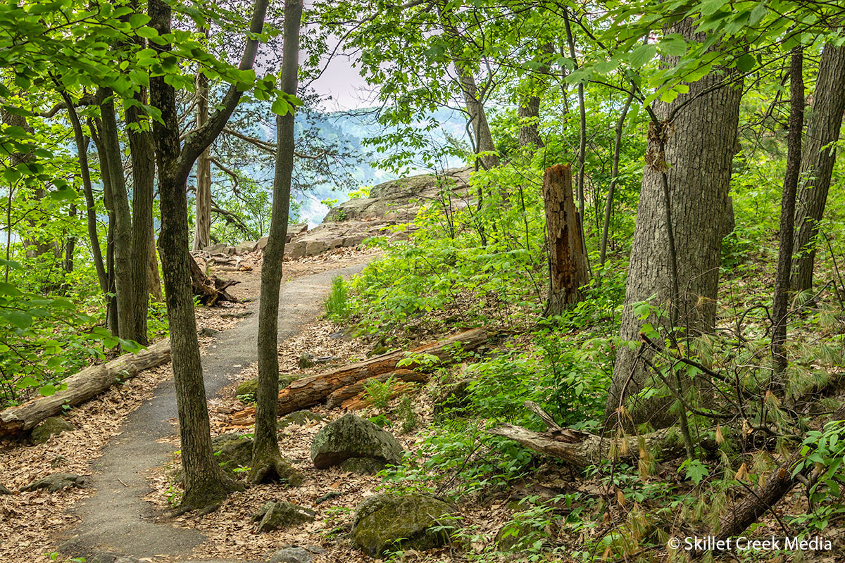 West Bluff Trail