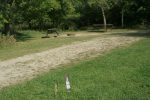 Site 307