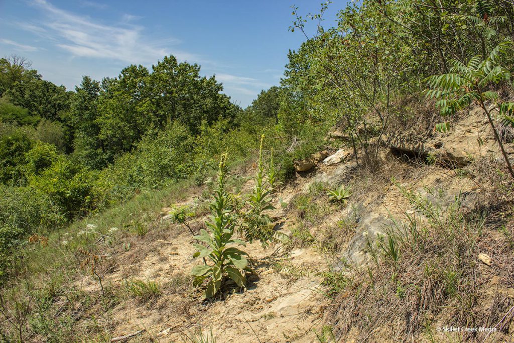 Wisconsin Heights Battleground