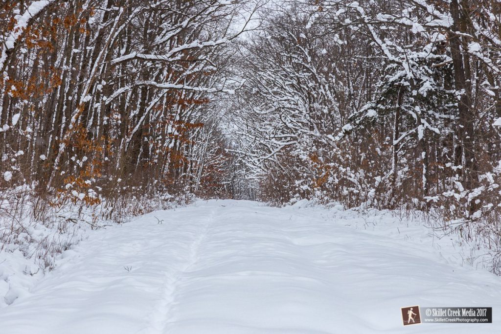 Fresh Snow on Buck Fever Road