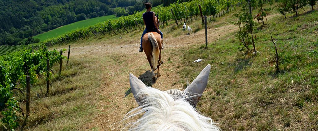 Horseback Riding