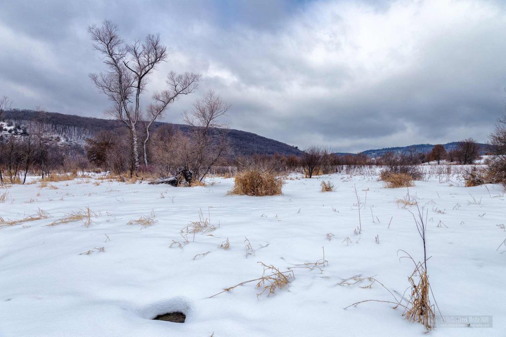 Roznos Meadow Winter