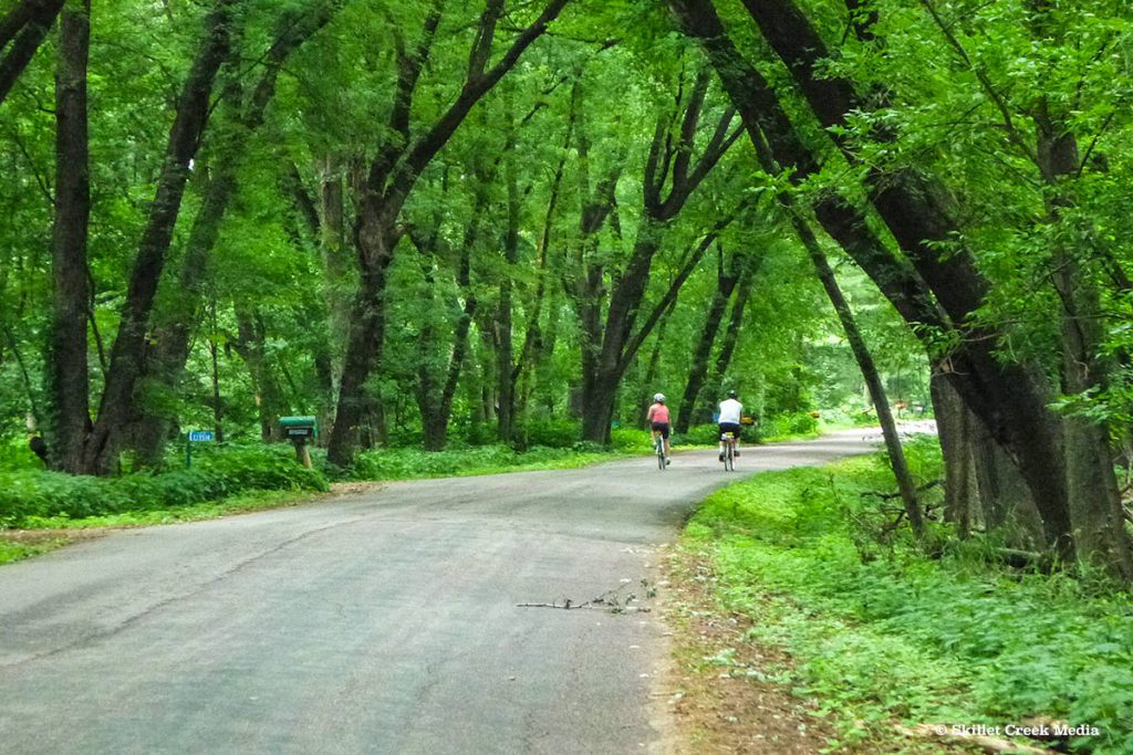 Biking Levee Road