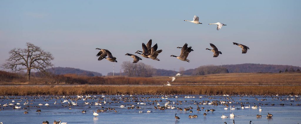 Madison Audubon Goose Pond Sanctuary