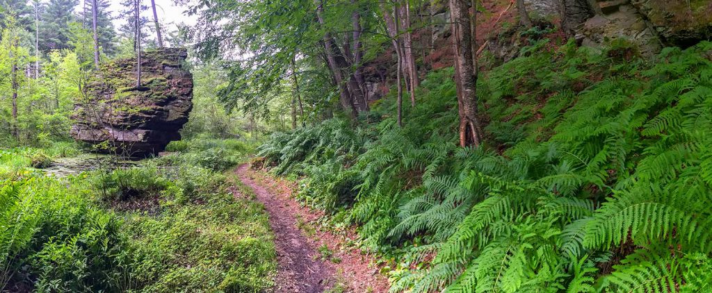 Hiking Trail at Rocky Arbor State Park