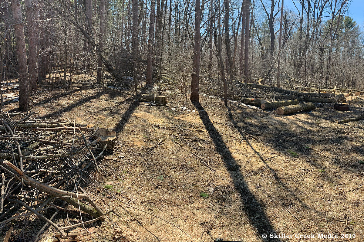 Lower Ice Age Campground Trees Down