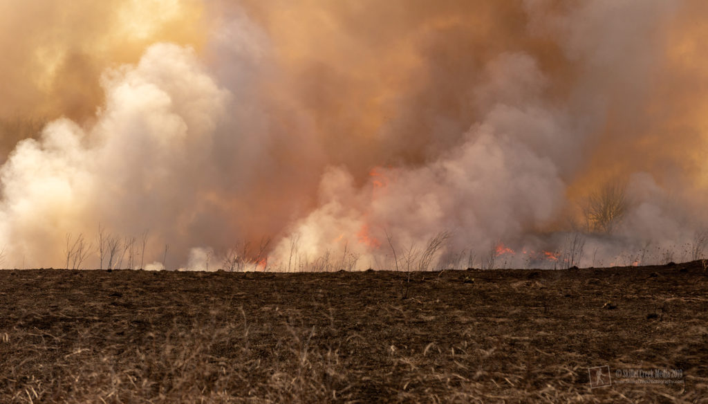 Prescribed Burn