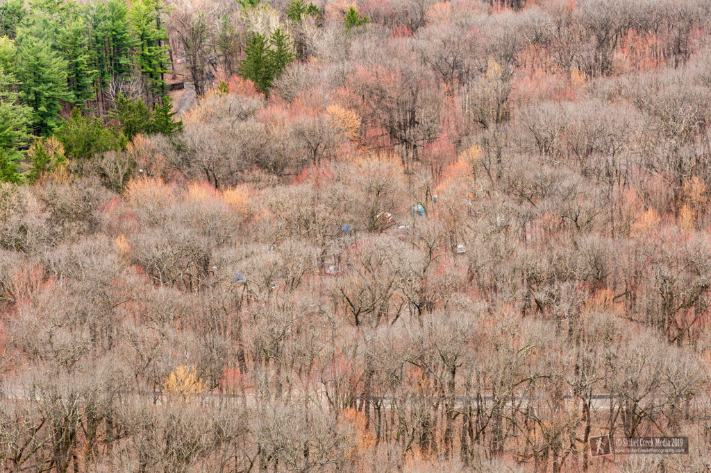 Spring Colors at Devil's Lake State Park