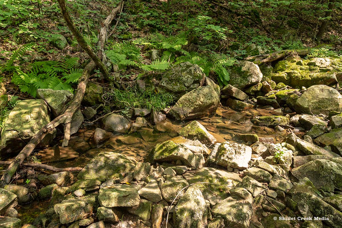 Small Stream - Devil's Lake State Park