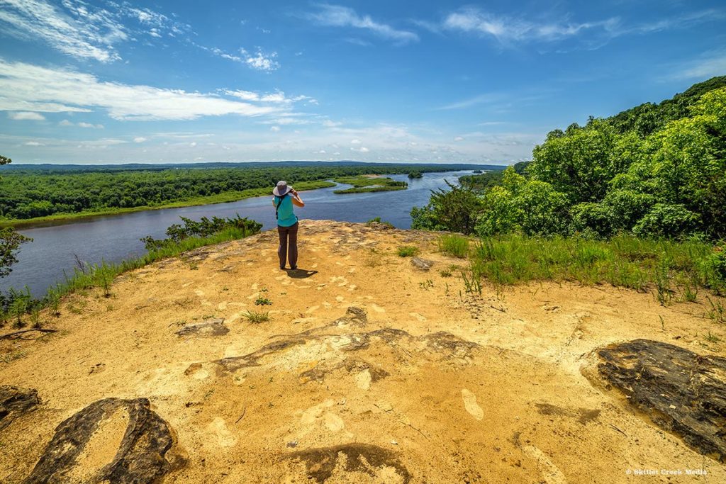 Ferry Bluff - Overlook