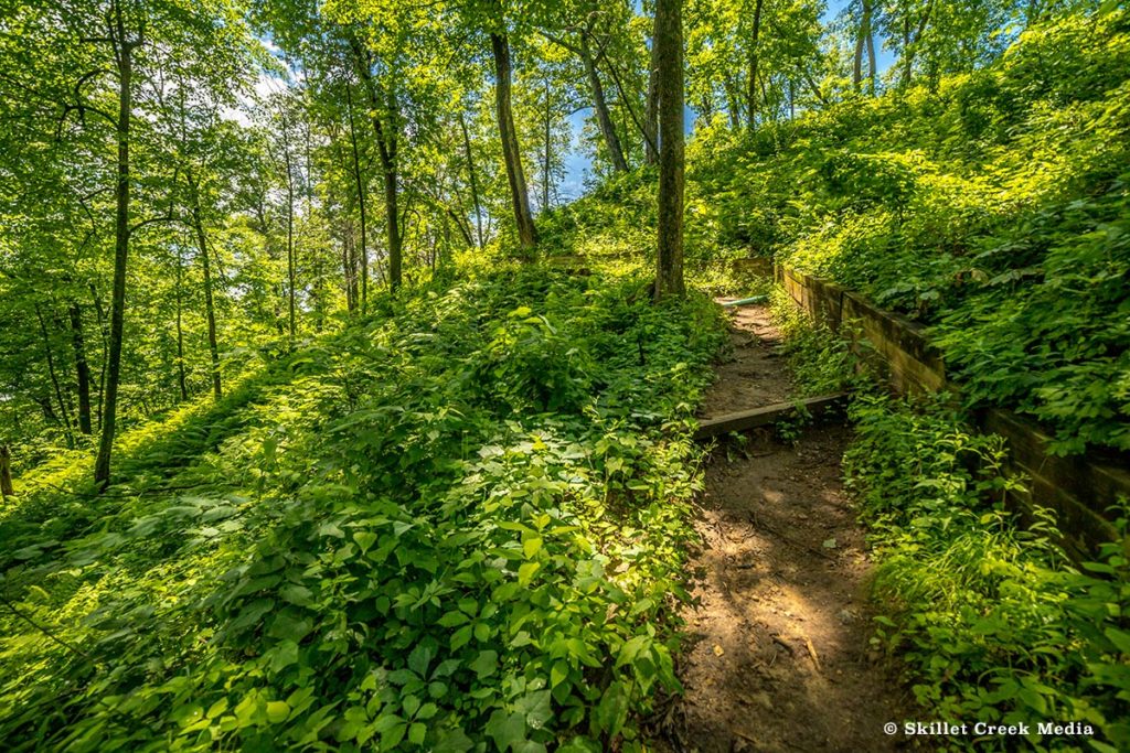 Ferry Bluff - Up The Bluff