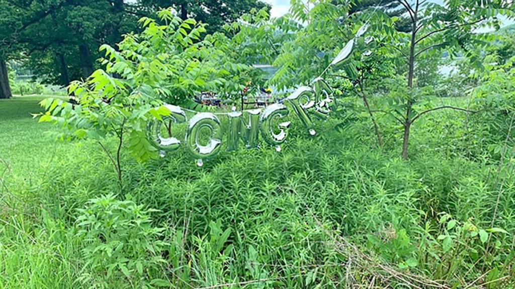 Balloons on the bird mound.