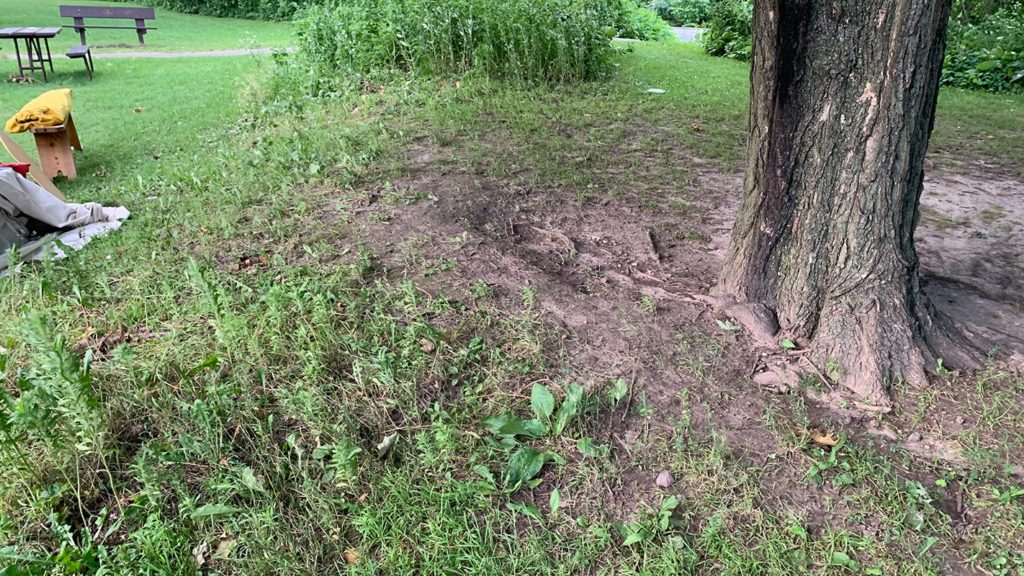 damage to linear mound at Devil's Lake.
