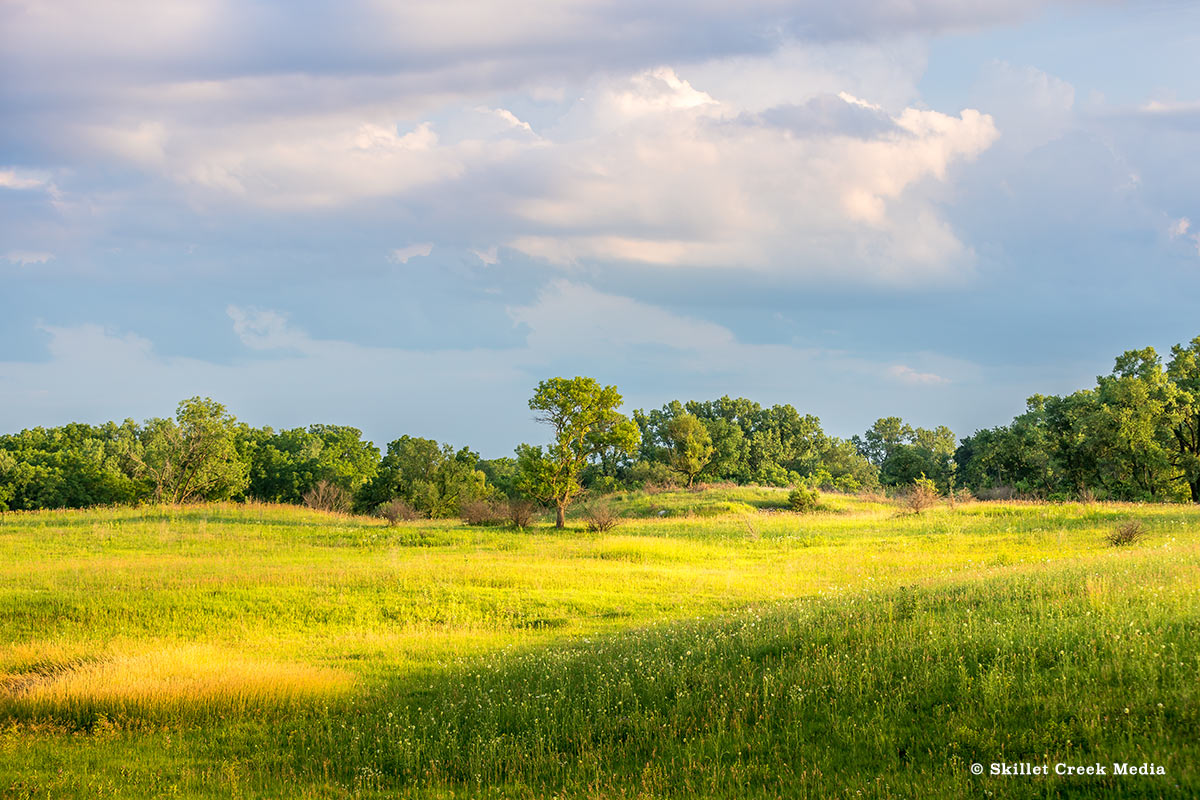 Thriving at Sauk Prairie Recreation Area