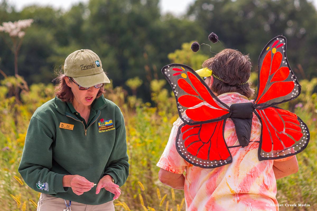 Monarch Tagging