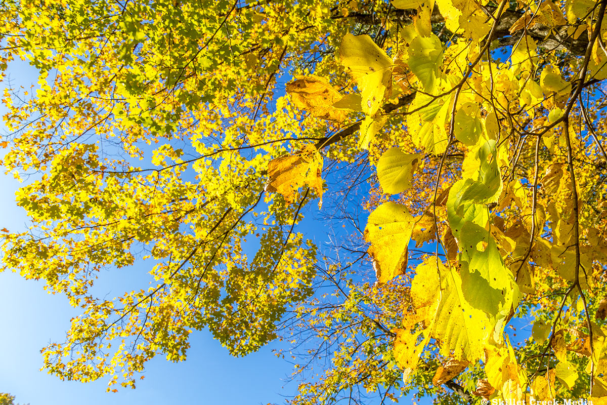 Fall Colors in Wisconsin