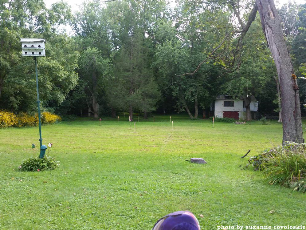 The proposed tower location near a home. (Purple foot is shoe of the photographer sitting on the resident's porch.)