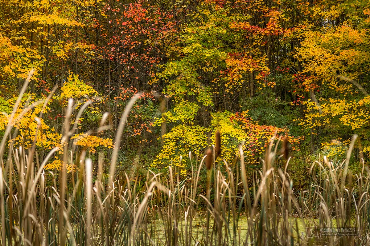 Fall Colors at Devil's Lake State Park