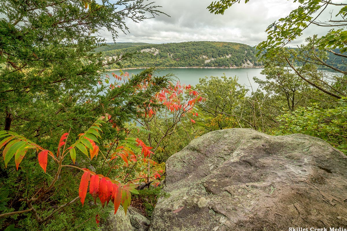 Red Sumac. West Bluff Trail.