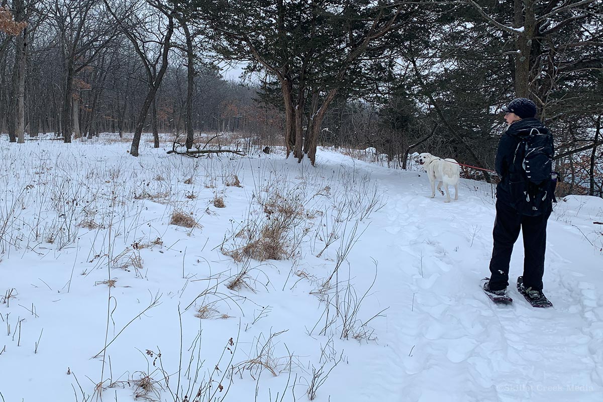 Walking dog on East Bluff