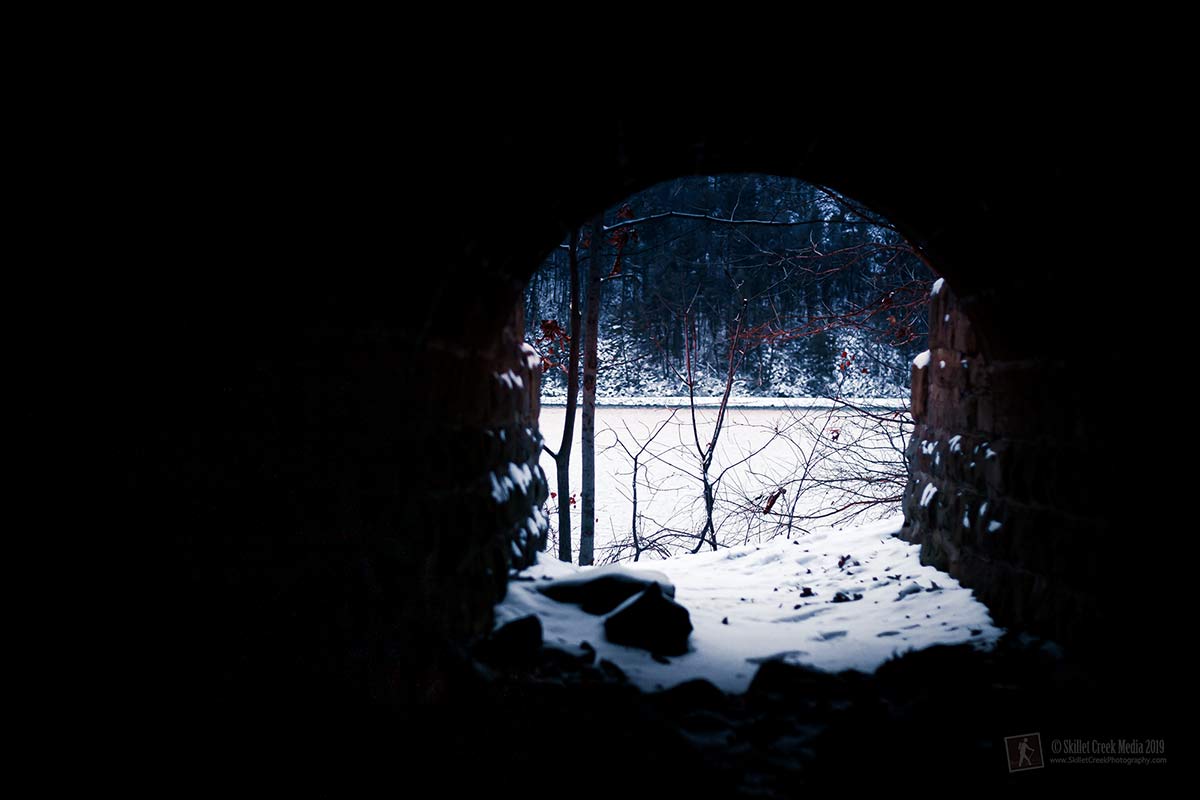 Kirk Animal Tunnel